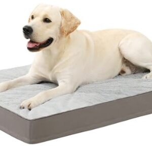 KSIIA Best Budget Orthopaedic Dog Bed